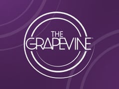 grape-9900000b6d028a3c